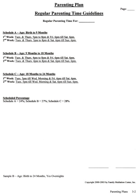 Detailed Parenting Plan Arrangements